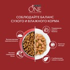 Сухой корм Purina One medium/maxi для взрослых собак, говядина/рис, 10 кг - Фото 8