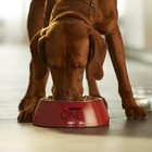 Сухой корм Purinа One medium/maxi для взрослых собак, говядина/рис, 10 кг - Фото 9