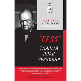 ГЕSS. Тайный план Черчилля. Сосновский А.