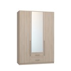 Шкаф 3-х дверный «Роксана», 1502 × 584 × 2198 мм, зеркало, цвет ясень шимо светлый - Фото 1