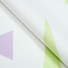Пленка флористическая в листах, "Геометрия", белый, 58 х 58 см - Фото 2