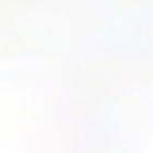 Пленка флористическая «Жемчужный перелив», коралловый 0.57×5 м - Фото 6