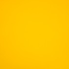 Пленка для цветов и букетов «Жемчужный перелив», тропический ананас, 0.57×5 м - Фото 5