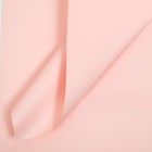 Пленка флористическая, "Любовь в воздухе" 65мкм, розовый 58 х 58 см - Фото 3