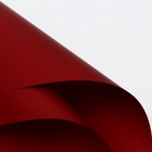 Пленка флористическая, «Любовь в воздухе» 65 мкм, винный 58×58 см - Фото 2