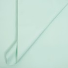 Пленка флористическая, «Любовь в воздухе» 65 мкм, светлая фисташка 58×58 см - Фото 2