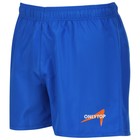 Шорты спортивные ONLYTOP unisex blue, р. 48 7997567 - фото 2397027