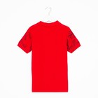 Футболка поло для мальчика, цвет красный/принт микс, рост 152 см - фото 21759174