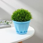 Горшок для цветов с поддоном «Знатный», 450 мл, d=11 см, голубой - Фото 1