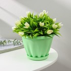 Горшок для цветов с поддоном «Знатный», 1 л, d=14 см, цвет зелёный - фото 319043044