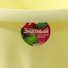 Горшок для цветов с поддоном «Знатный», 3,9 л, d=22,5 см, жёлтый - Фото 6
