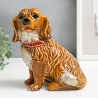 Сувенир керамика "Собака в ошейнике" МИКС 15х13х9 см - фото 27641775