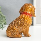 Сувенир керамика "Собака в ошейнике" МИКС 15х13х9 см - фото 27641777