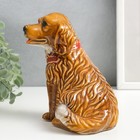 Сувенир керамика "Собака в ошейнике" МИКС 15х13х9 см - фото 27641778