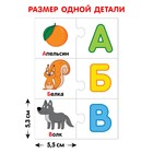 Парные пазлы «Синий трактор: Изучаем алфавит», 33 пары 7878606 - фото 16972799
