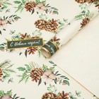 Бумага упаковочная крафт «Шишки», 1 лист, 70×100 см - Фото 2