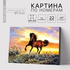 Картина по номерам на холсте с подрамником «Грациозный бег коня», 40 х 30 см - фото 320309932