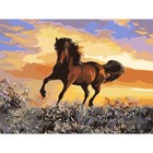 Картина по номерам на холсте с подрамником «Грациозный бег коня», 40 х 30 см - Фото 2