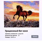 Картина по номерам на холсте с подрамником «Грациозный бег коня», 40 х 30 см - Фото 6