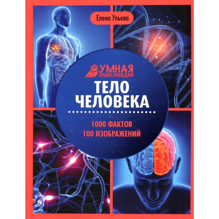 Тело человека. 4-е издание. Ульева Е.А. - Фото 1