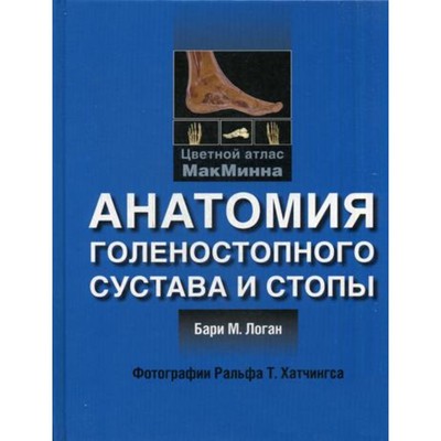 Анатомия голеностопного сустава и стопы. Логан Б.М.