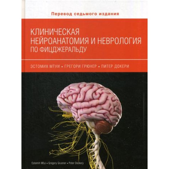 Клиническая нейроанатомия и неврология по Фицджеральду. Мути Э., Грюнер Г., Докери П. - Фото 1