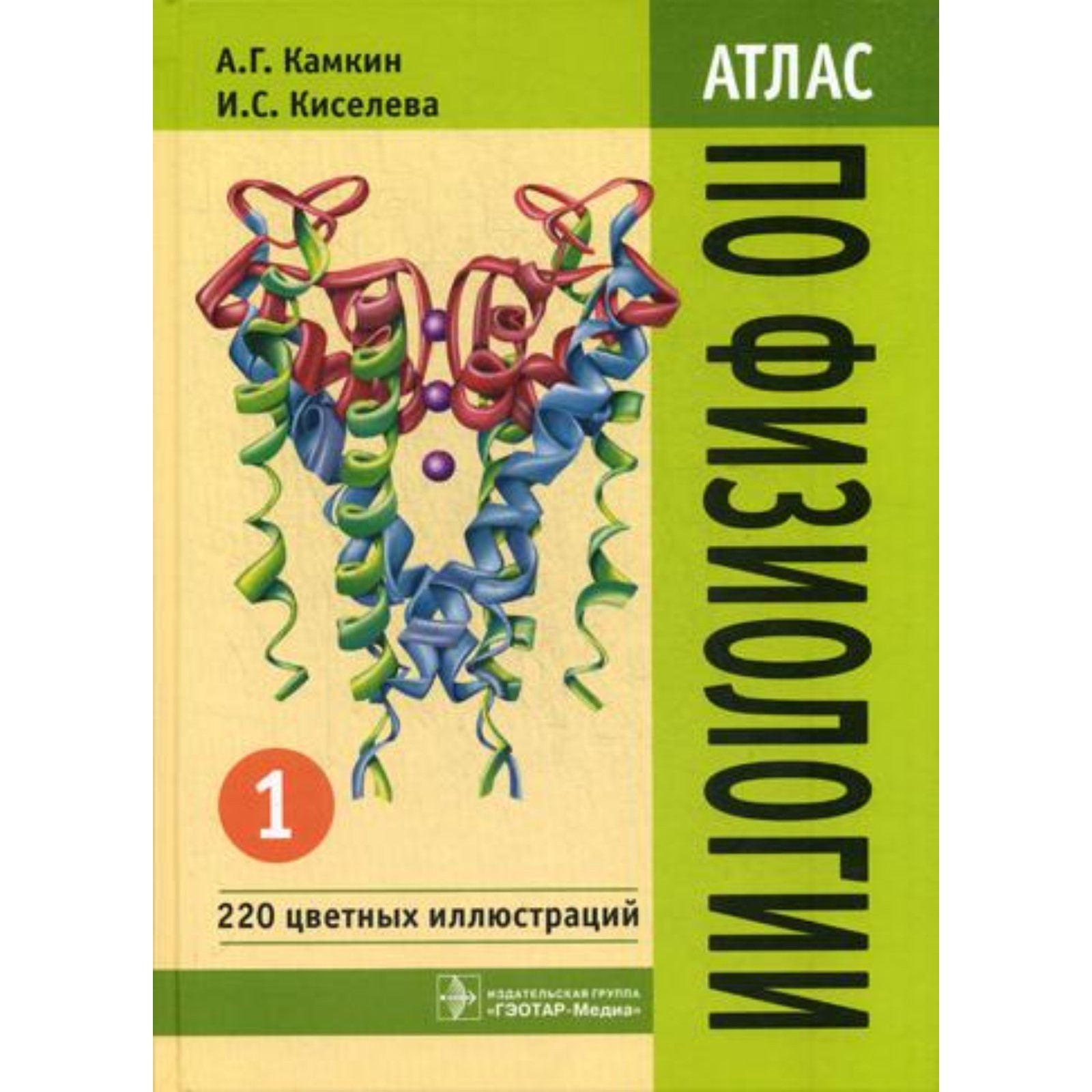 Абрамов гематологический атлас. Гематологический атлас фото. Гематология клиническая лабораторная диагностика. Гематология клиническая лабораторная диагностика. Атлас по анатомии.