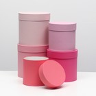 Набор круглых коробок 5 в 1 «Нежность», 20 х 20 х 20 — 14 х 14 х 14 см 9212690 - фото 14693453