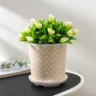 Горшок для цветов с поддоном Доляна «Кракле», 1.6 л, d=14 см, h=15.5 см, пластиковый, цвет белый - Фото 1