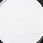 Горшок для цветов с поддоном Доляна «Кариота», 1,6 л, d=14 см, h=15,5 см, пластиковый, цвет белый - Фото 5