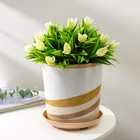 Горшок для цветов с поддоном Доляна «Каракум. Пустошь», 1.6 л, d=14 см, h=15.5 см, пластиковый, цвет бежевый - Фото 1