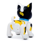 Робот радиоуправляемый, интерактивный «Кот», русское озвучивание, световые эффекты, цвета МИКС - Фото 3