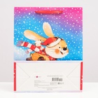 Пакет подарочный новогодний ламинированный «Зайчик на санках», 26×32×12 см 9232677