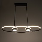 Люстра Ронделл LED 60 Вт 4000К черный 89×35×100 см BayerLux - фото 42256865