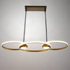 Люстра Ронделл LED 60 Вт 3000К золото 89×35×100 см BayerLux - фото 4369145