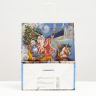 Пакет крафт "Новогодняя метель" 22 х 12 х 27 см (комплект 5 шт) - фото 35048232