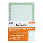 Сертификат-бумага А4, 25 листов Calligrata "Зеленый орнамент", 120 г/м2 - фото 7121231