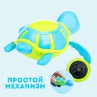 Игрушка заводная водоплавающая «Черепашка», цвета МИКС - Фото 3
