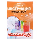 Набор для опытов «Снежное чудо», 4 опыта - Фото 11