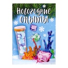 Набор для опытов «Новогодние опыты», 6 опытов - Фото 14