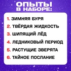 Набор для опытов «Новогодние опыты», 6 опытов - Фото 3