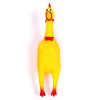 Игрушка- кричалка «Твоя кукуха» - фото 24693311