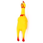 Игрушка- кричалка «Твоя кукуха» - фото 24693312