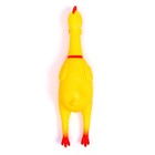 Игрушка- кричалка «Твоя кукуха» - фото 24693310