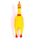 Игрушка- кричалка «Как живая» 7992713 - фото 16435557