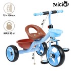 Велосипед трёхколёсный Micio Lutic, цвет голубой - фото 9971772
