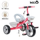 Велосипед трёхколёсный Micio Lutic, цвет розовый - фото 9971776