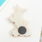 Магнит полистоун "Кролик - финансист" МИКС 6х3,5 см - фото 24243402