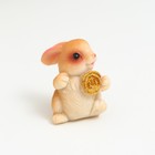 Фигурка полистоун «Маленький зайчик с монеткой», 3×1.7×2 см, МИКС - фото 47274454
