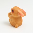 Фигурка полистоун «Маленький зайчик с монеткой», 3×1.7×2 см, МИКС - фото 47148224